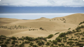 草原沙漠化日益嚴重